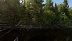 Campsite 1651 (Landing)