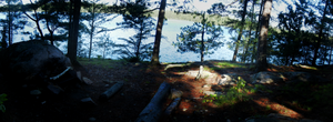 Campsite #1988