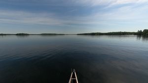 Beautiful Morning on Basswood