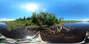 Beaver Dam at Portage