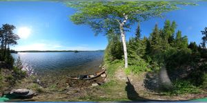 Campsite 1293