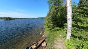 Campsite 1293