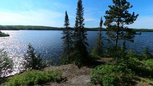 Campsite 1293