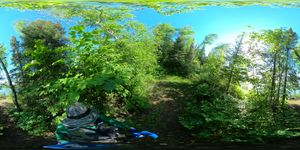 Campsite 1293