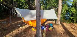 Hammock Camping