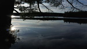 DSC05651.JPG