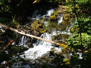 Creek on That Man portage from Sheridan