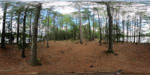 Oberlin Lake Campsite