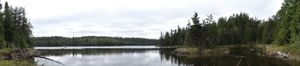 Portage #5639 Fisher to Mink