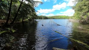 Landing for FOX-1 and 2