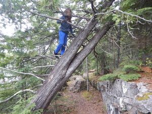 Round lake hiking trail