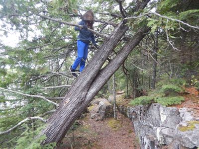 Round lake hiking trail