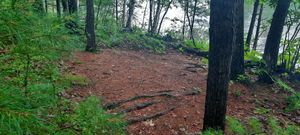 Day site 622 second detached tent pad