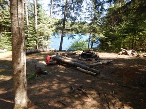 North Temperance island camp #906