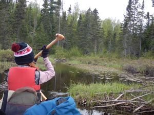 Cross Bay landing to Snipe portage