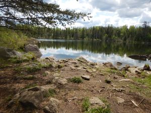 Missing Link landing