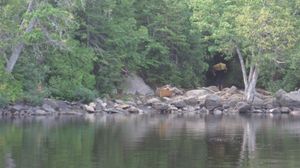 Poplar-Lizz portage north landing