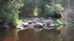Horseshoe-Vista portage north landing