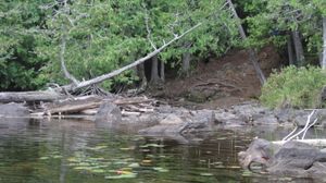 Jump-Allen portage south landing