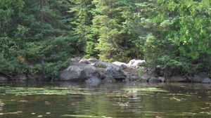 Horseshoe-Allan portage north landing