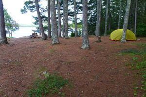 Interior of site looking toward bottle portage