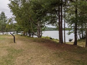 PXL_20210827_164252153.jpg