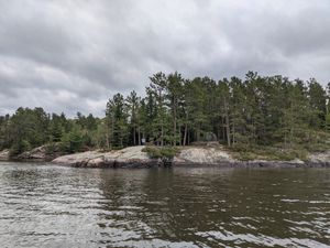 PXL_20210827_173101145.jpg