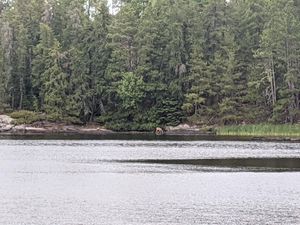 Campsite