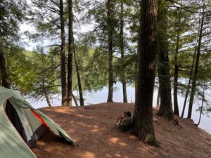 Raccoon campsite