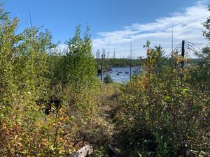 Approach to Brewis