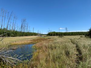 Creek east of North Wilder