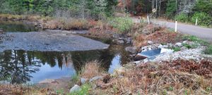 Carryover on White Sand Creek 1