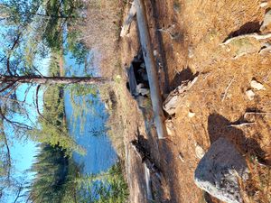 Campsite 1015