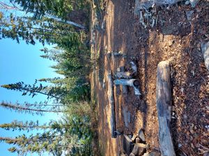Campsite 1014