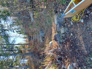 Campsite 1014