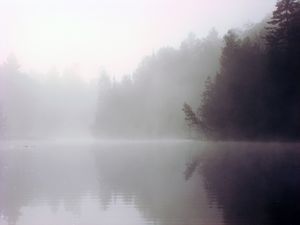Misty Morning