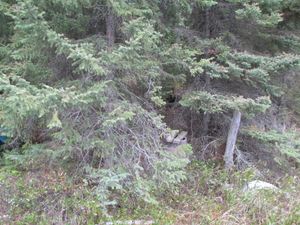 Abandoned latrine