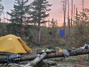 Campsite 2202