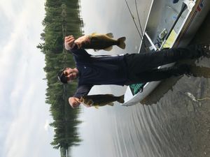 Back Bay Bass