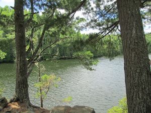 View from Site
