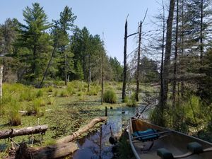 End of Portage to Chad Lake