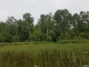 Entrance to Little Trout Portage