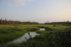 Low water in LIS river