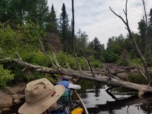 Portage landing, low water