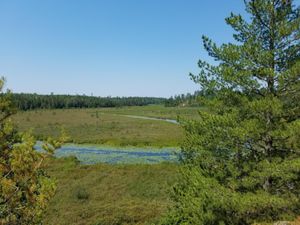 Pine creek overlook