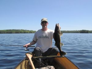 Walleye