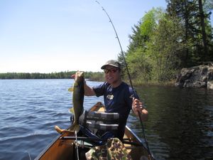 Walleye