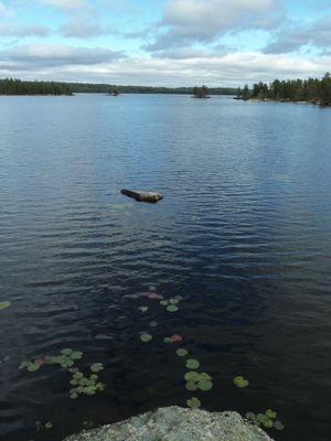 Big Moose landing