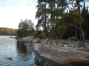 Gull camp