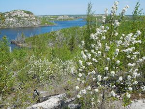 Sea Gull lake overlook